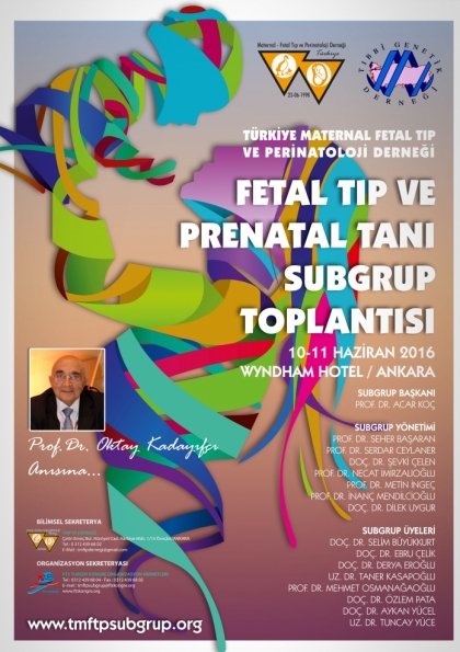 Fetal Tıp ve Prenatal Tanı Subgrup Toplantısı Etkinlik Afişi