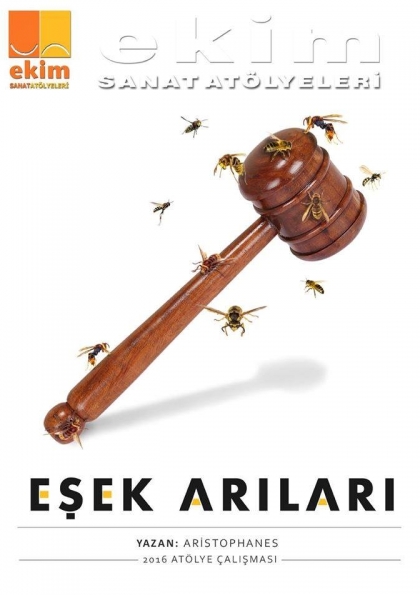 Eşekarıları Etkinlik Afişi