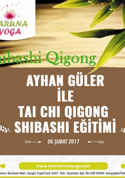 Ayhan Güler ile Tai Chi Qigong Shibashi Eğitimi Etkinlik Afişi