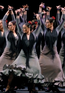 Kanlı Düğün - Flamenka Suit Etkinlik Afişi