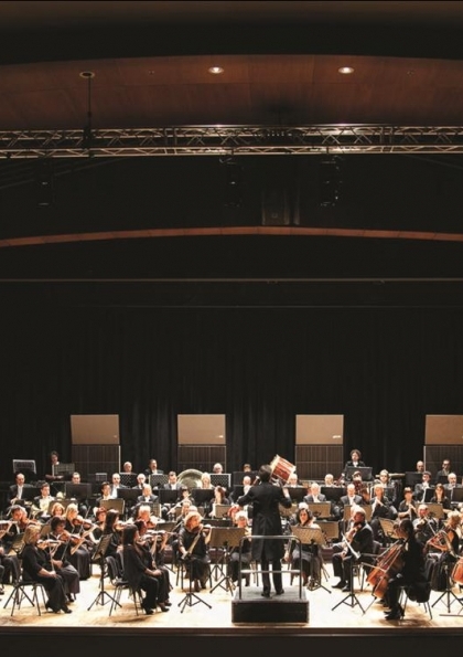İstanbul Devlet Senfoni Orkestrası Konseri Etkinlik Afişi