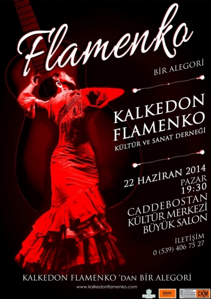 Bir Alegori Flamenko Etkinlik Afişi