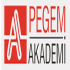 Pegem Akademi