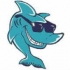 CoolShark