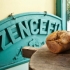 Zencefil Cafe&Restaurant;