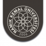 NAMIK KEMAL ÜNİVERSİTESİ