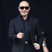 Pitbull Resmi