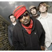 Skindred Resmi