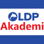 LDP Akademi Resmi
