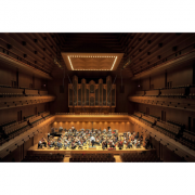 Cumhurbaşkanlığı Senfoni Orkestrası Resmi