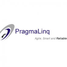 Pragmalinq Yazılım Resmi