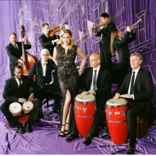 Pink Martini Resmi