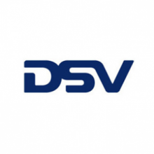 DSV Resmi