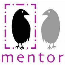 Mentor Akademi Resmi