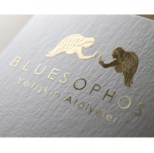 Bluesophos Yetişkin Atölyeleri Resmi